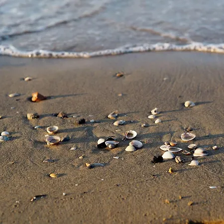 Welcoming Two-bedroom In Bibione-beahost Bibione