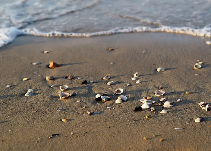 Welcoming Two-bedroom In Bibione-beahost Bibione