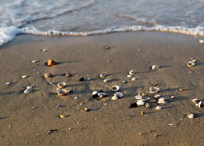 Welcoming Two-bedroom In Bibione-beahost Бибионе